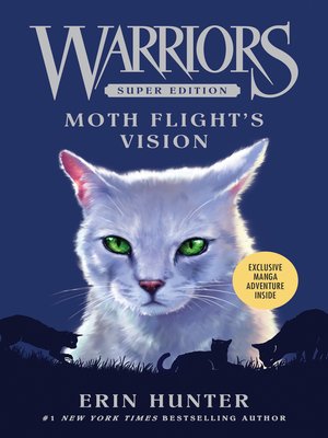 cover image of Moth Flight's Vision